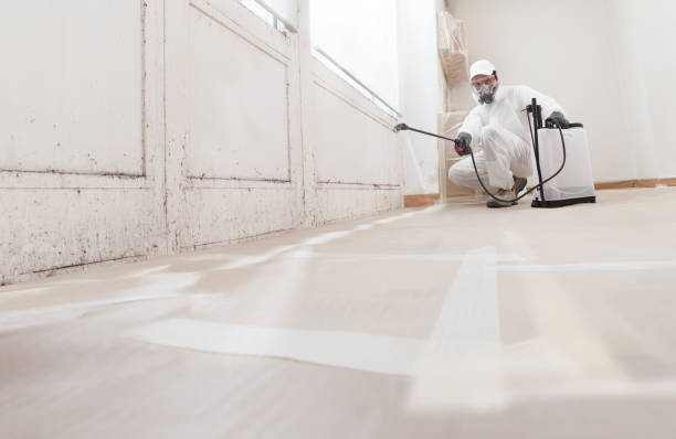 24/7 Emergency Bathroom Mold Removal experts in Melissa, TX