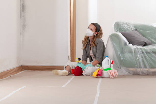 Reliable Bathroom Mold Removal contractor in Melissa, TX by 24 Hour Mold Removal