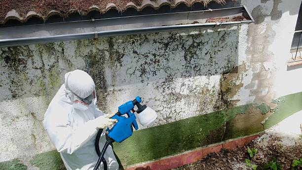 Top rated local Bathroom Mold Removal specialists in Melissa, TX